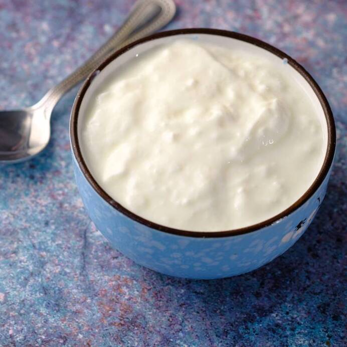 Plain Yogurt Recipe Prospre Plain Yogurt Recipe Prospre